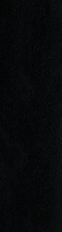 XB
