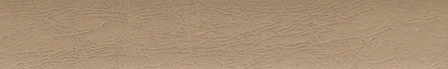 4529 GOLDEN LEATHER 8M39 DB_U