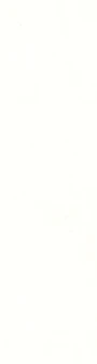 016 SUPER WHITE