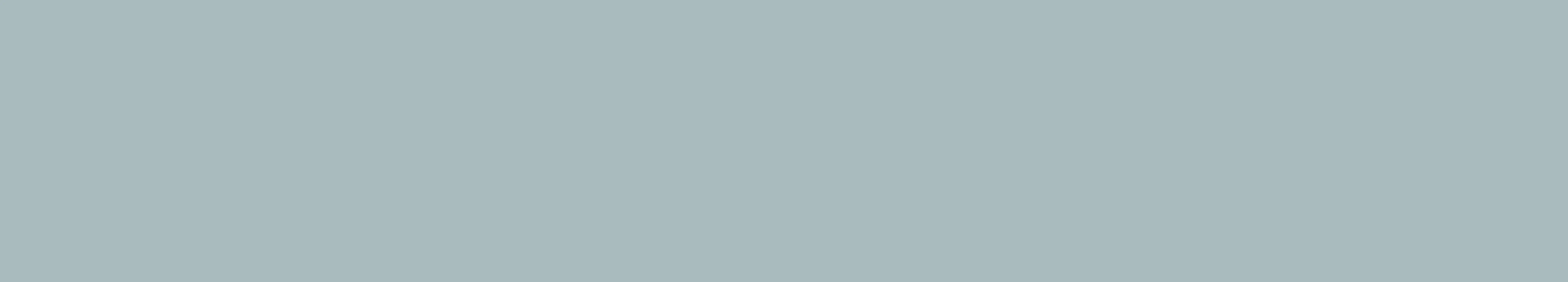 MAT_61C PASTEL BLUE 2F47 MA_U