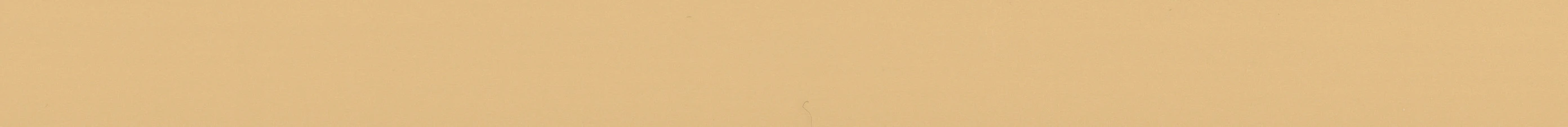 D281 GOLDEN BEIGE L-62556